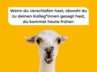 Schritt-für-Schritt-Anleitung für Morgenmuffel