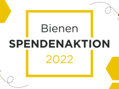 Bienen-Spendenaktion in der BAUR-Gruppe