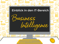 Karriere im IT-Bereich: Ein Interview mit Stefan vom Team Business Intelligence