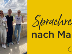 Language trip to Malta for our e-commerce trainees