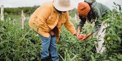 Klimafreundlich Essen in unserer Kantine