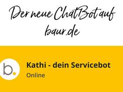 Die Entwicklung des ChatBots Kathi