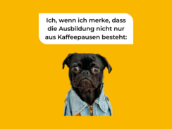 Die wichtigsten Tipps für angehende Berufseinsteiger*innen