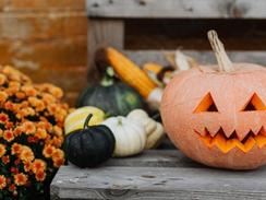 Ran an den Kürbis - B.Our Fotowettbewerb 2.0